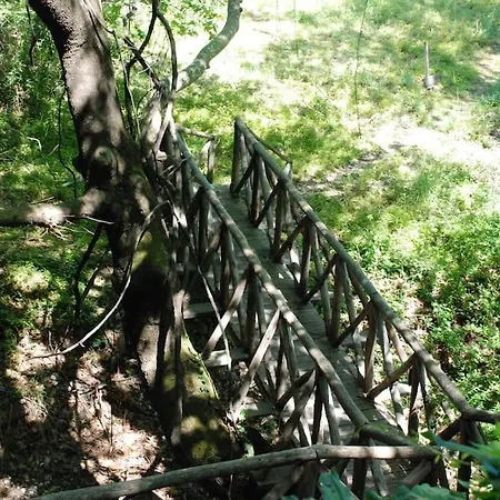 Apartament Irene's In Sálakos