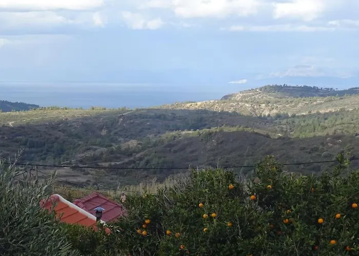 Daire Irene's In Sálakos